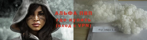 шишки Володарск