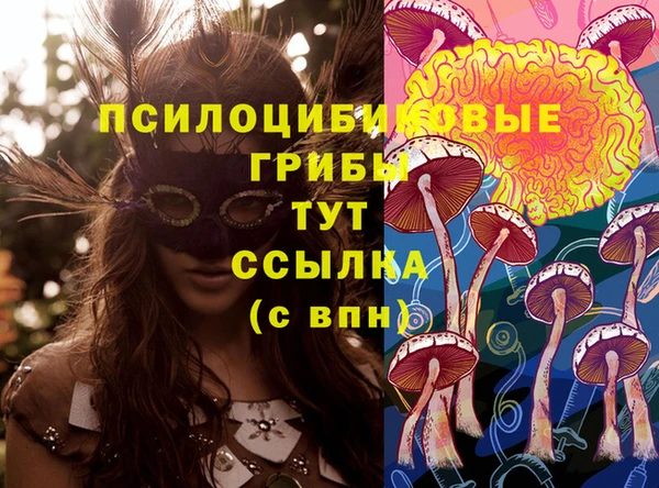 шишки Володарск