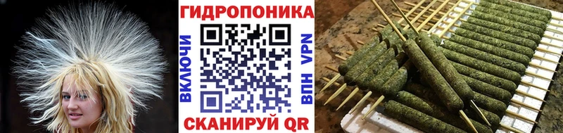 Конопля Bruce Banner  ссылка на мегу зеркало  Волхов 